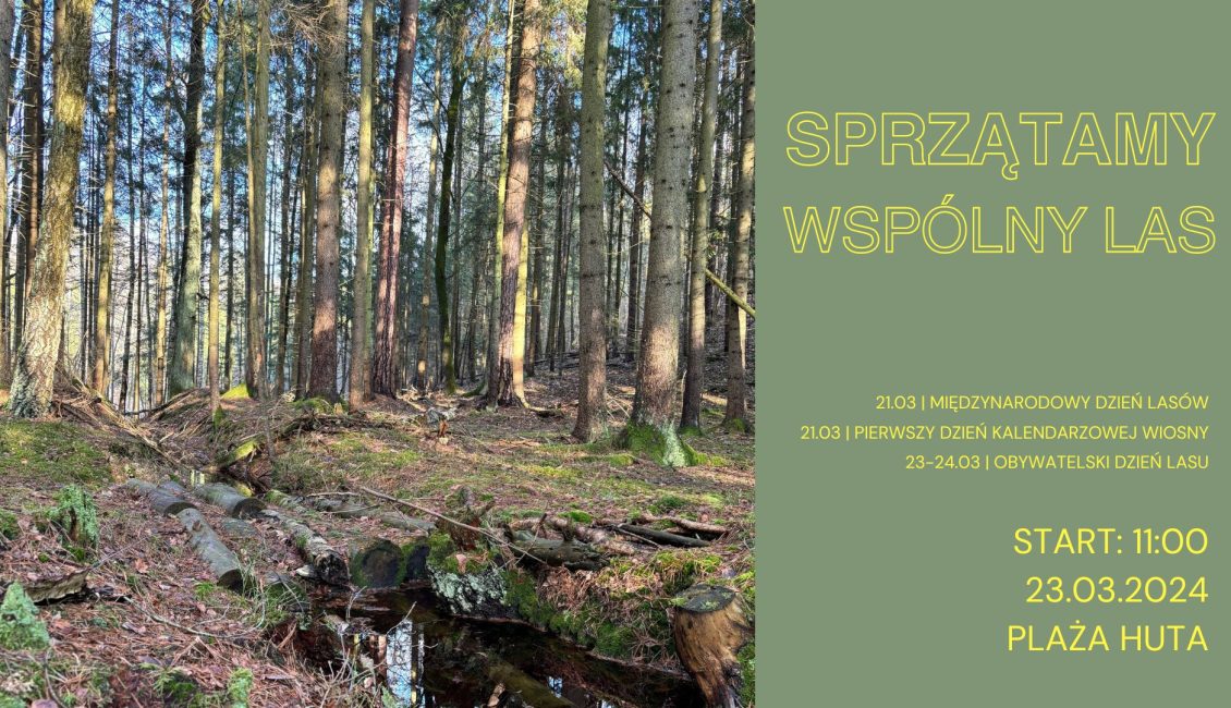 Spacer i sprzątanie naszego Wspólnego Lasu spacer i sprzatanie naszego wspolnego lasu