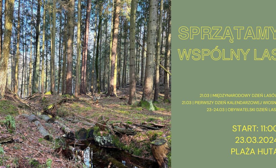 spacer i sprzatanie naszego wspolnego lasu