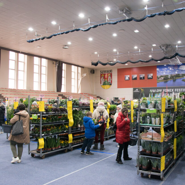 festiwal roslin suwalki 03