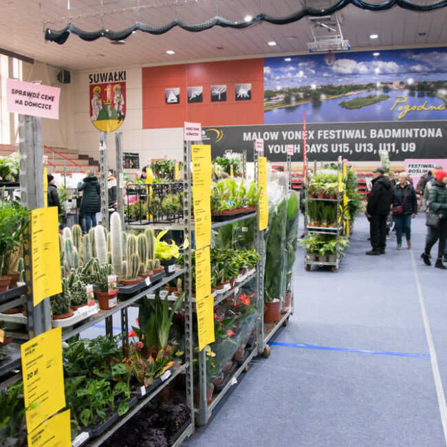 festiwal roslin suwalki 13