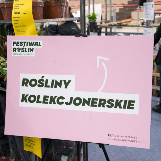 festiwal roslin suwalki 14