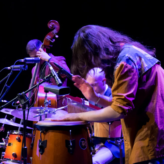 koncert karnawalowy sok band 21