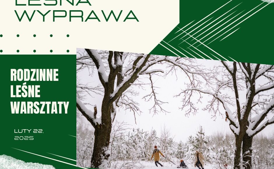 lesna wyprawa rodzinne lesne warsztaty