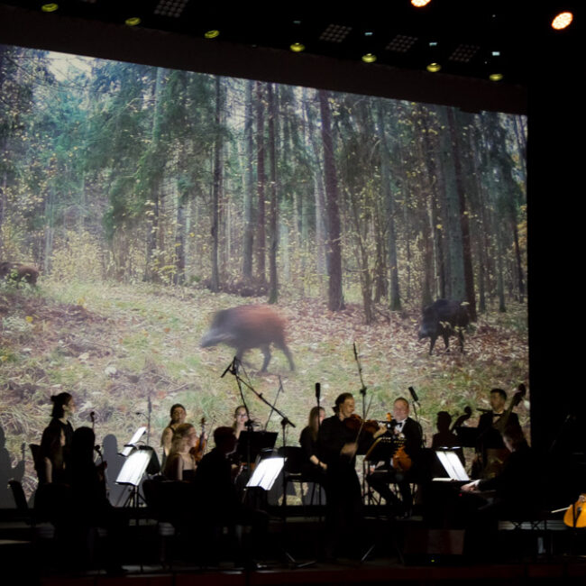 cztery pory roku filharmonia suwalk 25