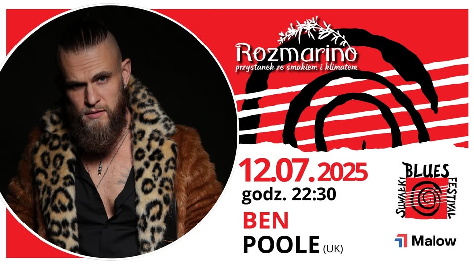 Ben Poole na scenie podczas koncertu