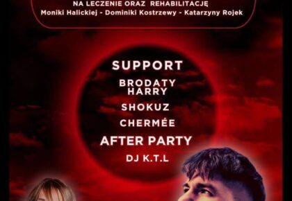 koncert charytatywny kobieca sila muzyczne wsparcie dla kobiet w potrzebie