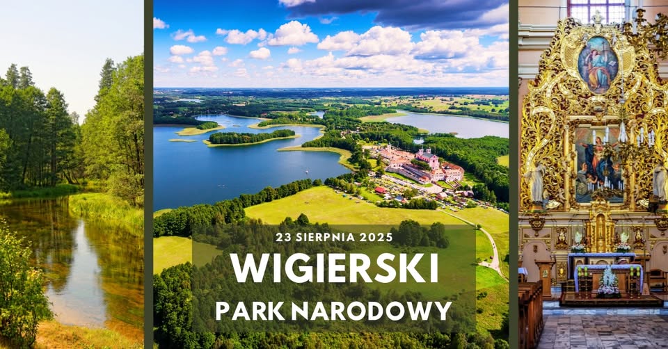 Wycieczka do Wigierskiego Parku Narodowego Widok na jezioro Wigry otoczone lasami