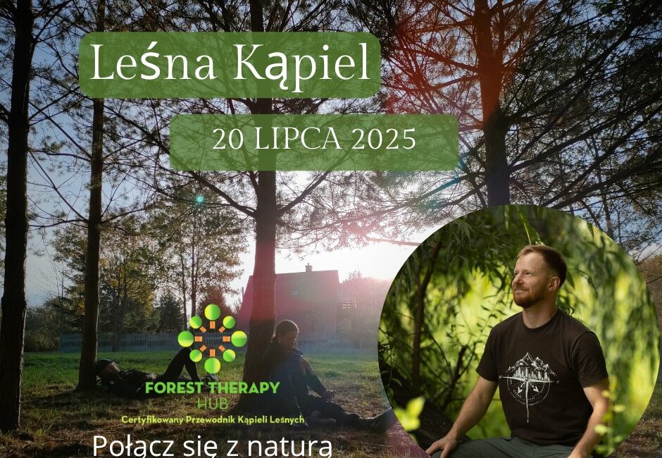 Lesna Kapiel Suwalki w lesie przy ul. Reja Zielony las z promieniami slonca przeswitujacymi przez drzewa