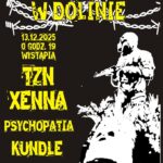 Zespoły punkowe wystąpią na koncercie w Suwałkach