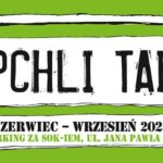 Stoisko z książkami i przedmiotami na pchlim targu