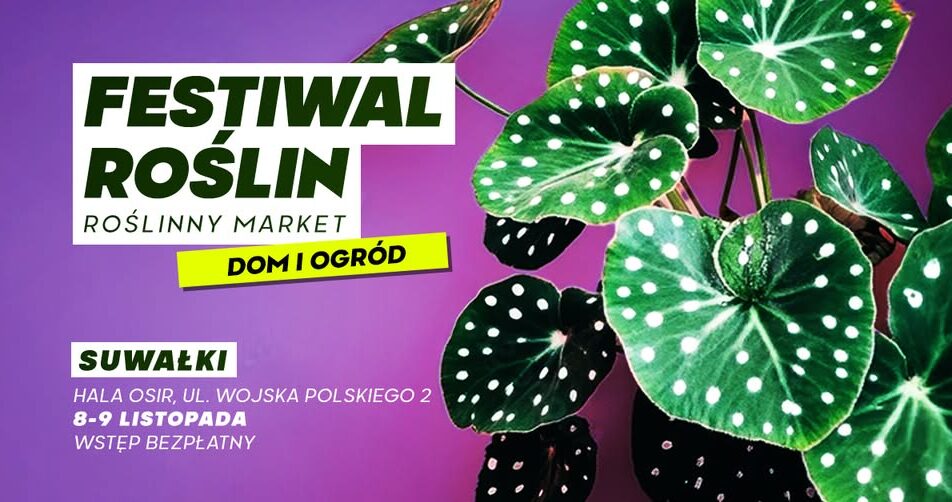 Stoisko z roślinami doniczkowymi podczas festiwalu