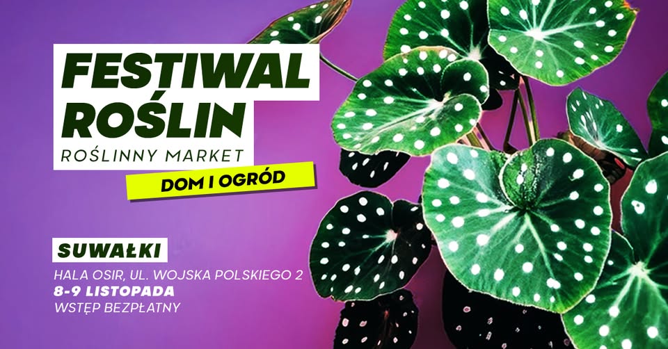 Stoisko z roślinami doniczkowymi podczas festiwalu
