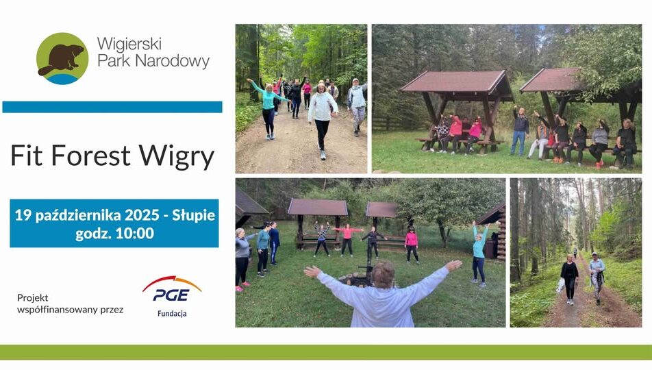 uczestnicy treningu w lesie wigierskiego parku narodowego