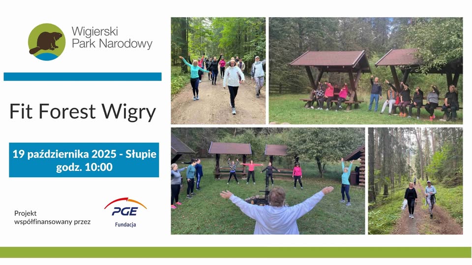 uczestnicy treningu w lesie wigierskiego parku narodowego