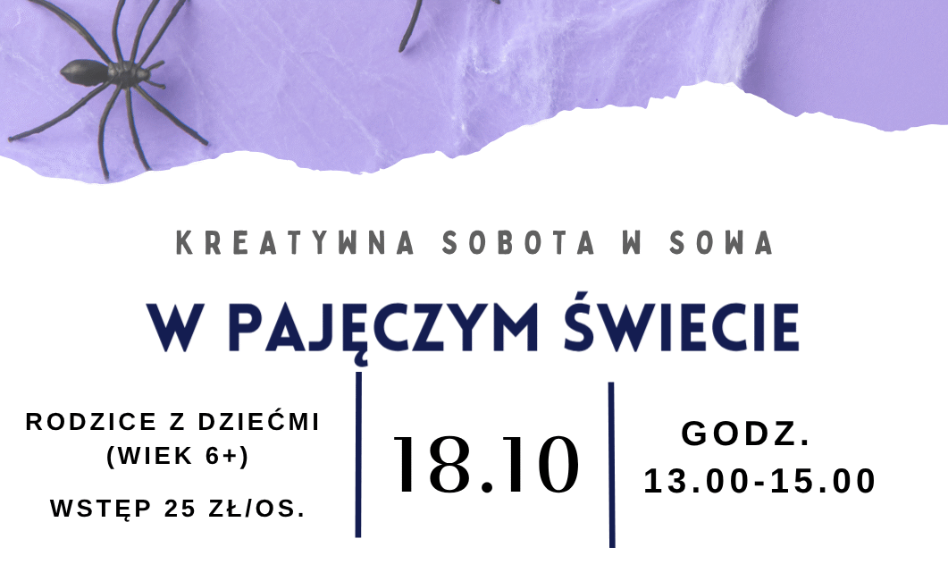 Kreatywna sobota „W świecie pająków” w SOWA Suwałki Kreatywna sobota „W świecie pająków” w SOWA Suwałki