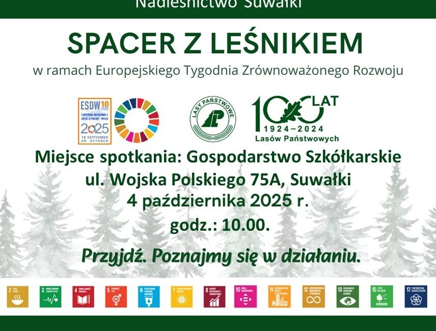 Uczestnicy spaceru edukacyjnego w lesie