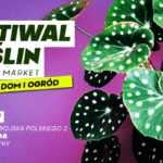 festiwal roslin ponownie w suwalkach wydarzenie w hali osir