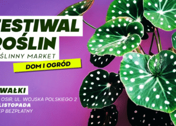festiwal roslin ponownie w suwalkach wydarzenie w hali osir