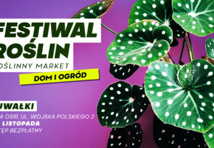 festiwal roslin ponownie w suwalkach wydarzenie w hali osir