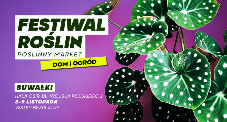 festiwal roslin ponownie w suwalkach wydarzenie w hali osir