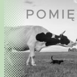 Piotr Werewka – POMIĘDZY – wernisaż wystawy Fotografia przedstawiająca młodego mężczyznę na tle wiejskiego krajobrazu