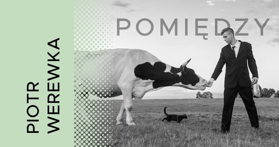 Fotografia przedstawiająca młodego mężczyznę na tle wiejskiego krajobrazu