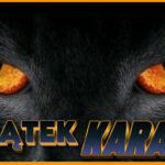 Karaoke w Piwiarni Osoba śpiewająca do mikrofonu podczas karaoke.