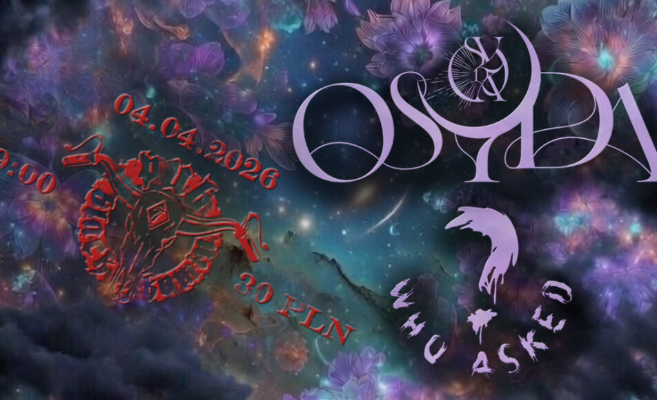 Gitarzyści na scenie w trakcie koncertu