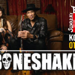 The Boneshakers podczas koncertu, muzycy na scenie