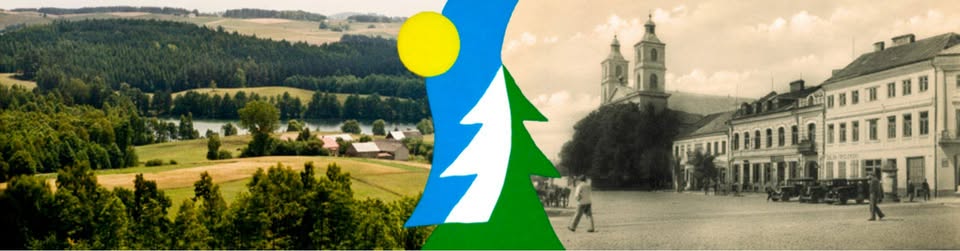 Ruiny pałacu Paca w Dowspudzie