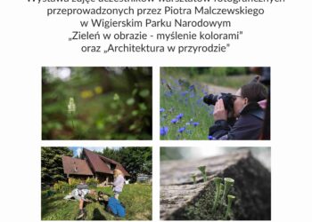 Wystawa fotograficzna „Zieleń w obrazie, myślenie kolorami” oraz „Architektura w przyrodzie” Wystawa fotograficzna „Zieleń w obrazie, myślenie kolorami” oraz „Architektura w przyrodzie”